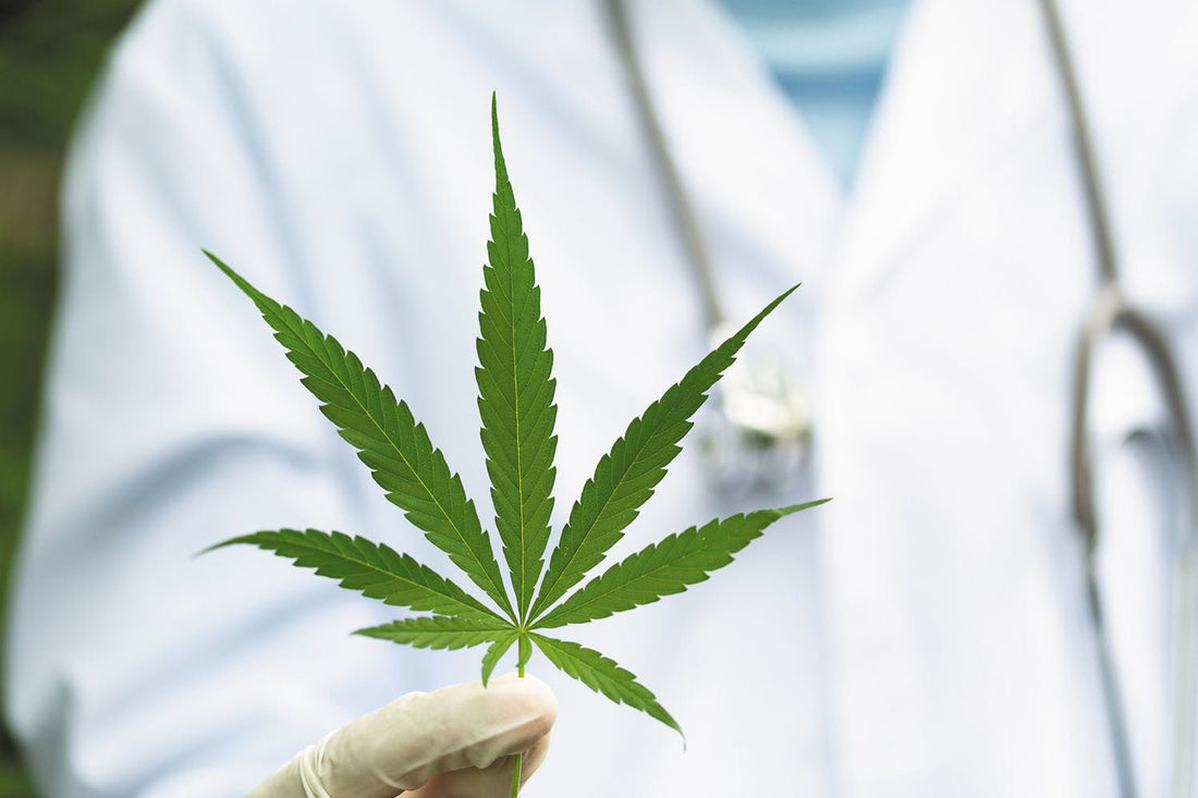 The Role of Cannabis in Modern Medicine: Myths vs. Facts