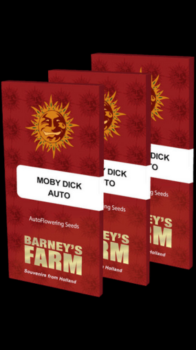 Moby Dick Auto Cannabis Seeds