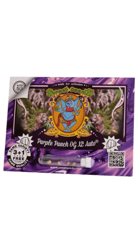 Purple Punch OG XL Auto Feminised Seeds Sweet Seeds Malta