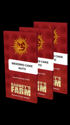 Wedding Cake Auto Feminised Seeds