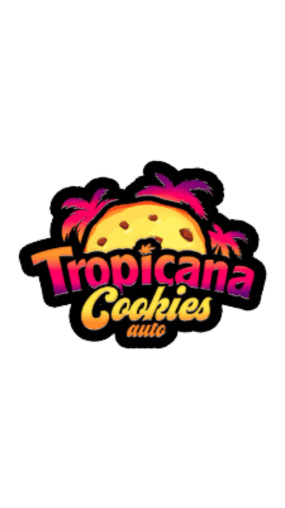 Tropicana Cookies Auto Cannabis Seeds