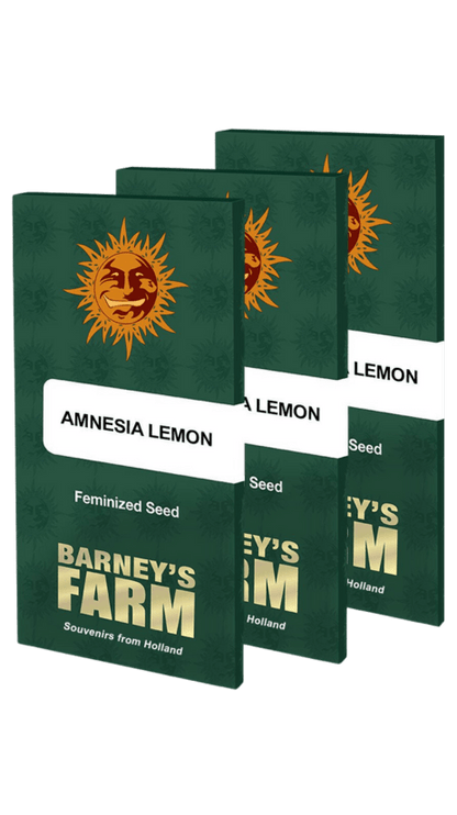 Amnesia Lemon Barneys Farm Cannabis Seeds Malta