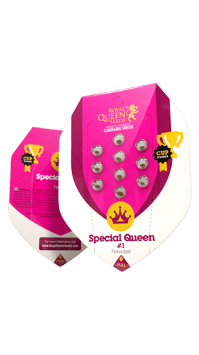 Special Queen #1 Feminised Seeds